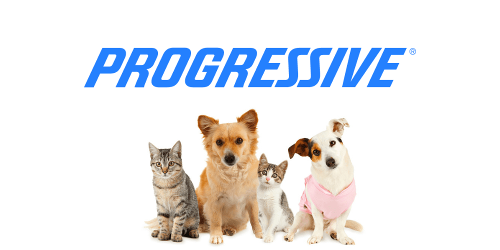 Progressive pet insurance